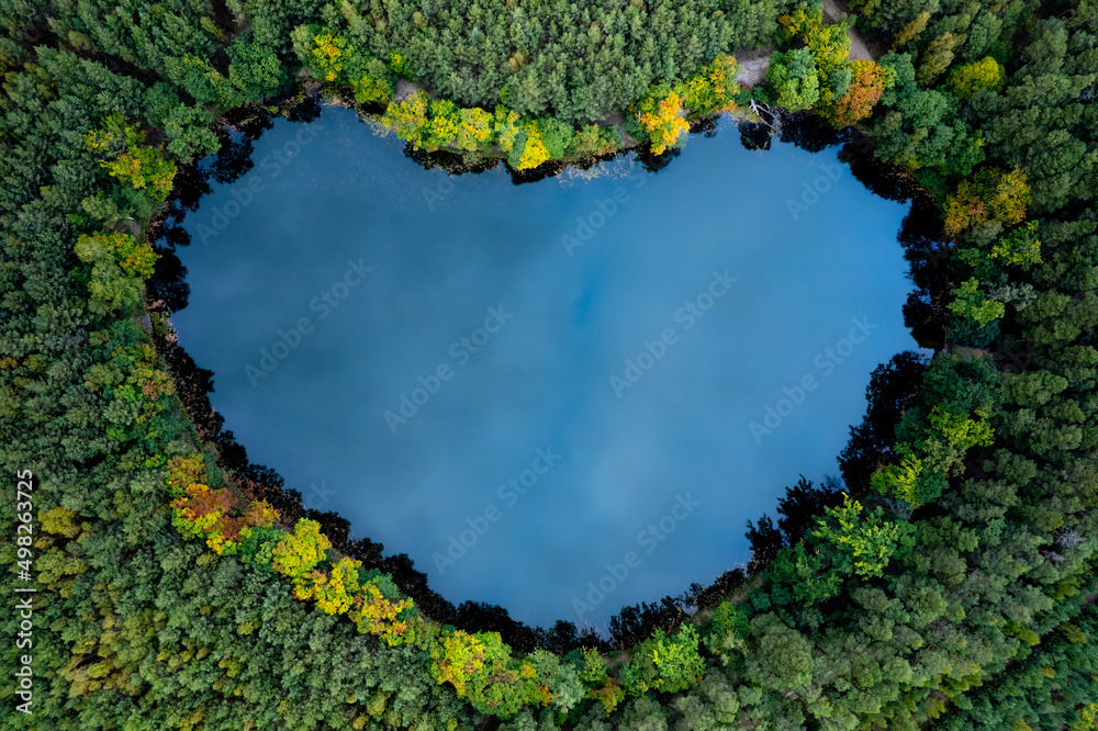 Obraz na płótnie Heart - shaped lake in the green forest. Bird's eye view of the blue water and treetops in a daylight. w salonie