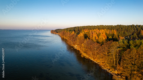 Aerial view of the lake surrounded by the forest in a sunny day  autumn colors. Clear  blue sky.