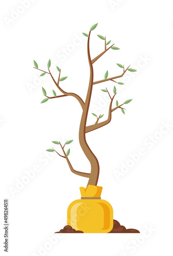 Natural green tree seedling with leaves in yellow package icon isometric vector illustration. Organic wood plant greenery growing agriculture and gardening isolated. Eco friendly botanical environment