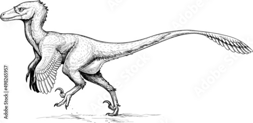 Modern reconstruction of velociraptor. Extinct feathered dinosaur. Vector illustration photo