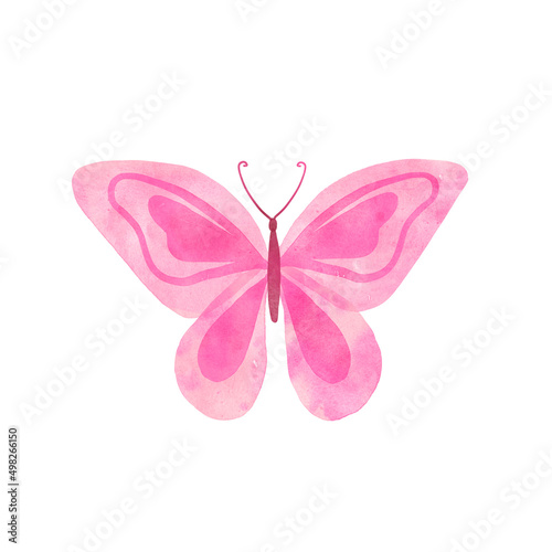 Watercolor Summer pink butterfly isolated on white background. Spring butterfly illustration.
