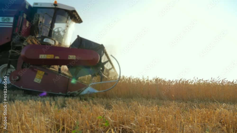 Wheat harvest concept. Combine harvester gathers the wheat crop. Harvester machine harvesting golden ripe wheat field on an agricultural field at sunset. Industry agriculture food production. Wheat harvest concept. Combine harvester gathers the wheat crop. Harvester machine harvesting golden ripe wheat field on an agricultural field at sunset. Industry agriculture food production.