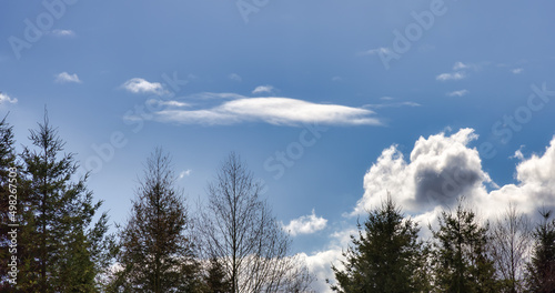 Nature Background Image of Green Trees with Blue Sky and White Puffy Clouds.