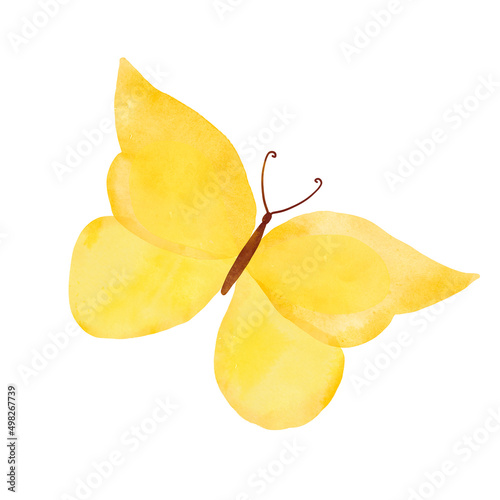 Watercolor yellow butterfly isolated on white background. Spring butterfly illustration. photo