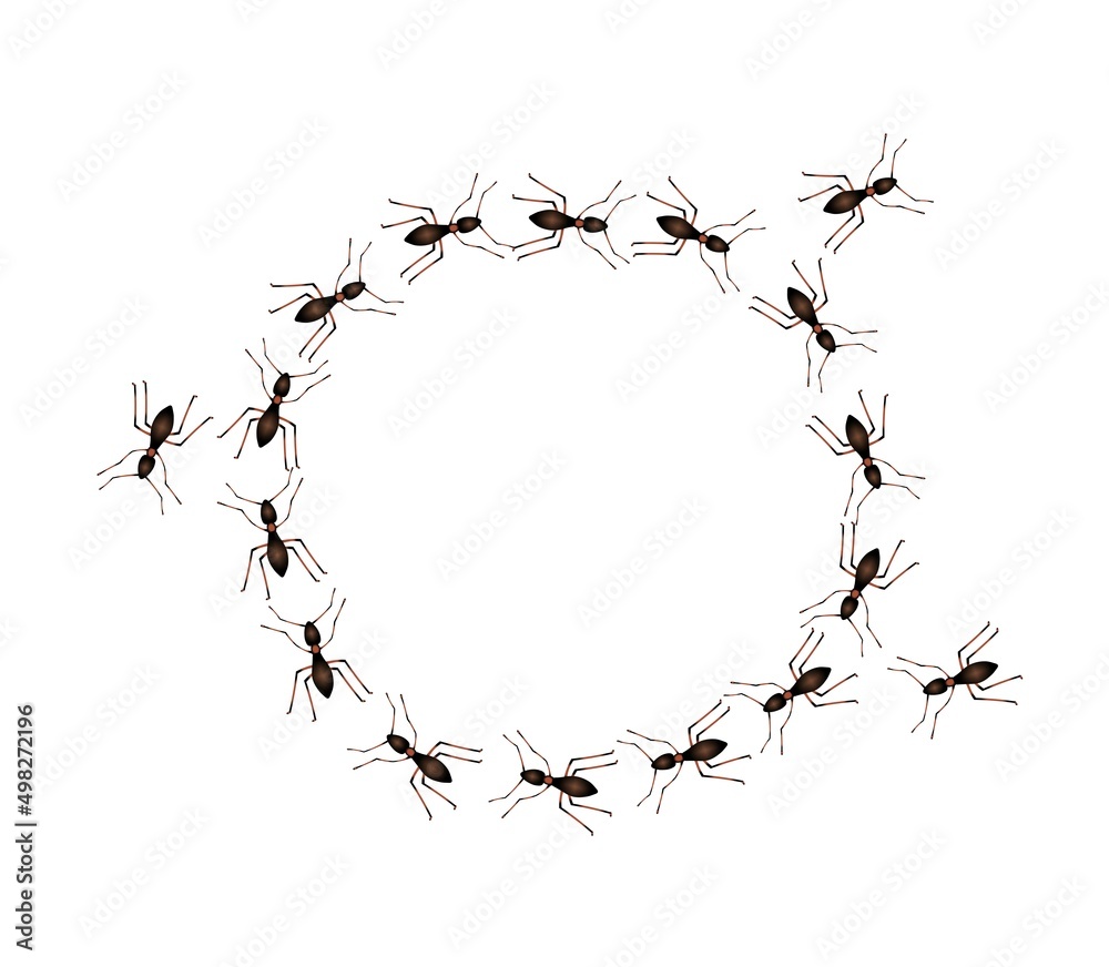 Ant colony marching in circle. Walking insect in cartoon style Stock ...