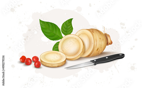 A chopped Ginseng root vector illustration with root slices, seeds and green leaves 