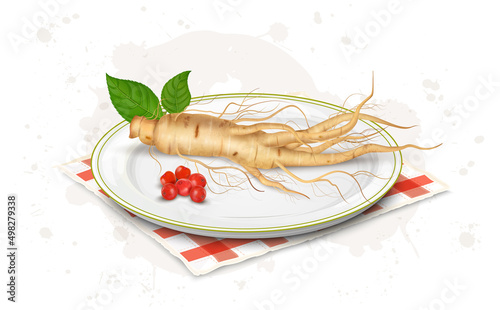 Ginseng Root With Ginseng Seed and leaves vector illustration