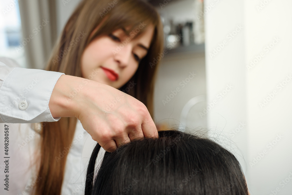 Naklejka premium Pretty young woman working as hairdresser and making hairstyle for female customer