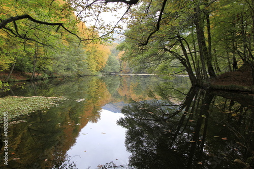 Fall season in Sevenlakes national park (Yedigoller milli parki), Bolu, Turkey photo