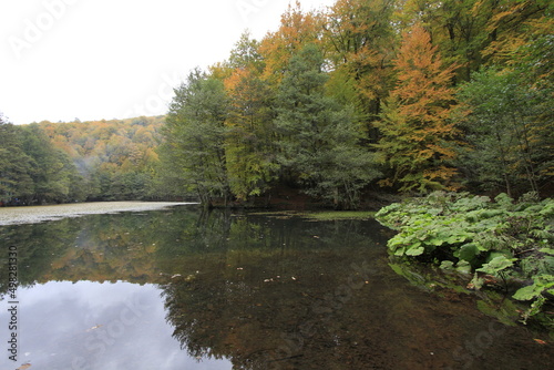 Fall season in Sevenlakes national park (Yedigoller milli parki), Bolu, Turkey photo