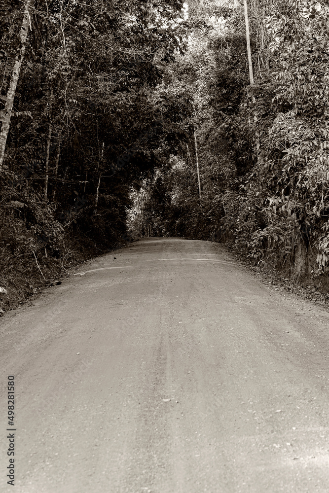 Obraz premium estrada