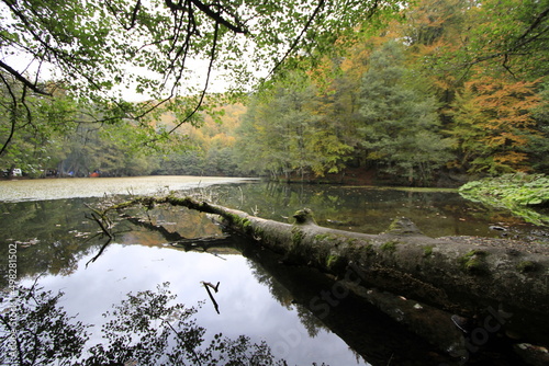 Fall season in Sevenlakes national park (Yedigoller milli parki), Bolu, Turkey photo