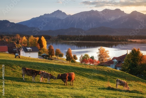 autumn landscape in the mountains