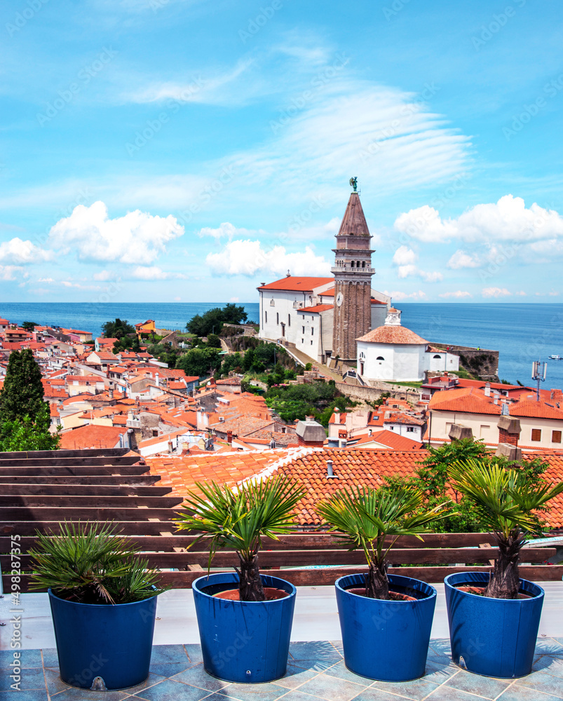 flowerpots with palm trees on the background landscape with a spire of Church spire and tiled roofs and the whole part of the city Piran, Slovenia. Amazing places.