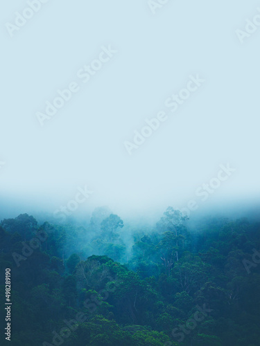vertical banner background of tropical forest landscape scene for using in concept of environmental ecology and sustainable energy or Earth day, wild wood scenic using for wallpaper of spa and tourism