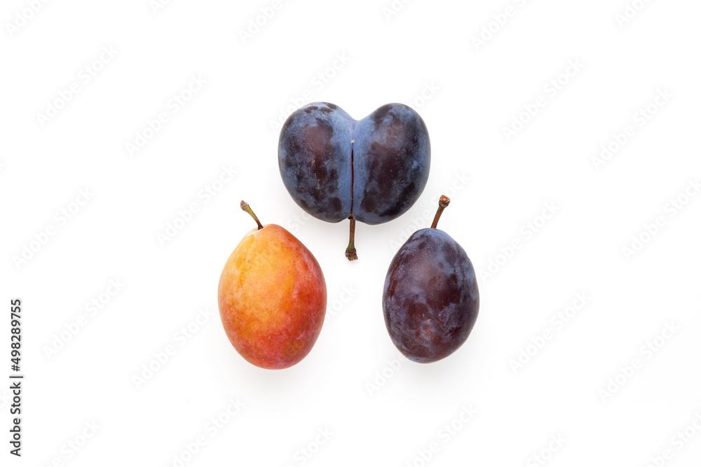Two ripe multi-colored plums and ugly double prunes on white background. Concept - Ugly fruits. Reduction organic food waste