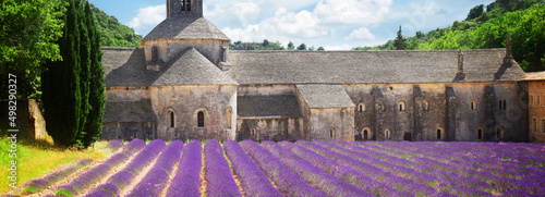 Abbey Senanque and Lavender field, France photo