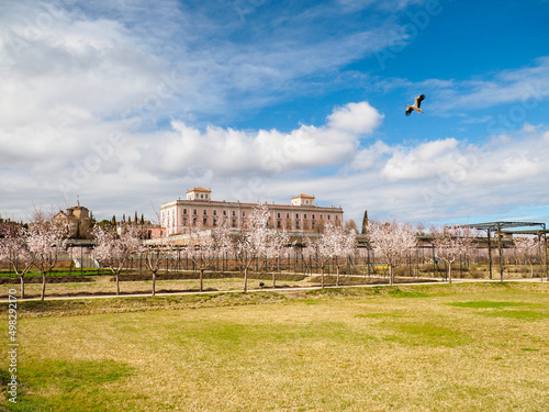 Primavera en los jardines del Palacio del Infante don Luis en Boadilla del Monte en Madrid y cigüeña photo