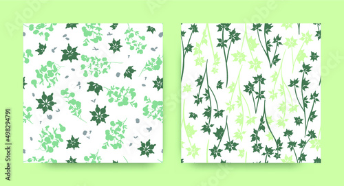 Seamless Eucalyptus Pattern. Herbal Leaves Texture. Spring Dress Design. Flor...