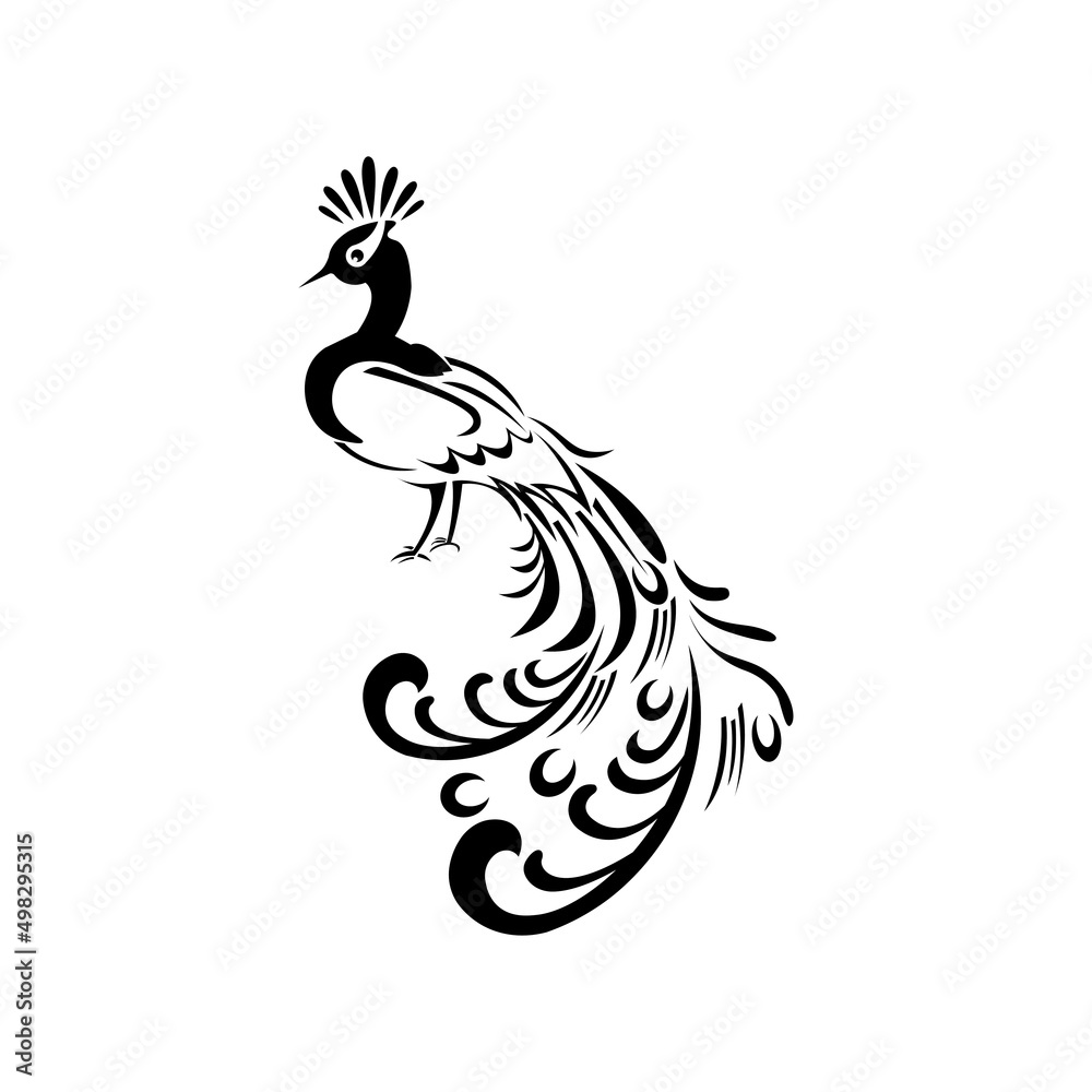 peacock pattern ornament design vector
