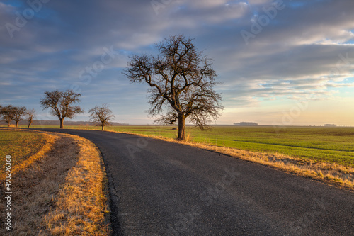 Rural road among fields at amazing sunrise i