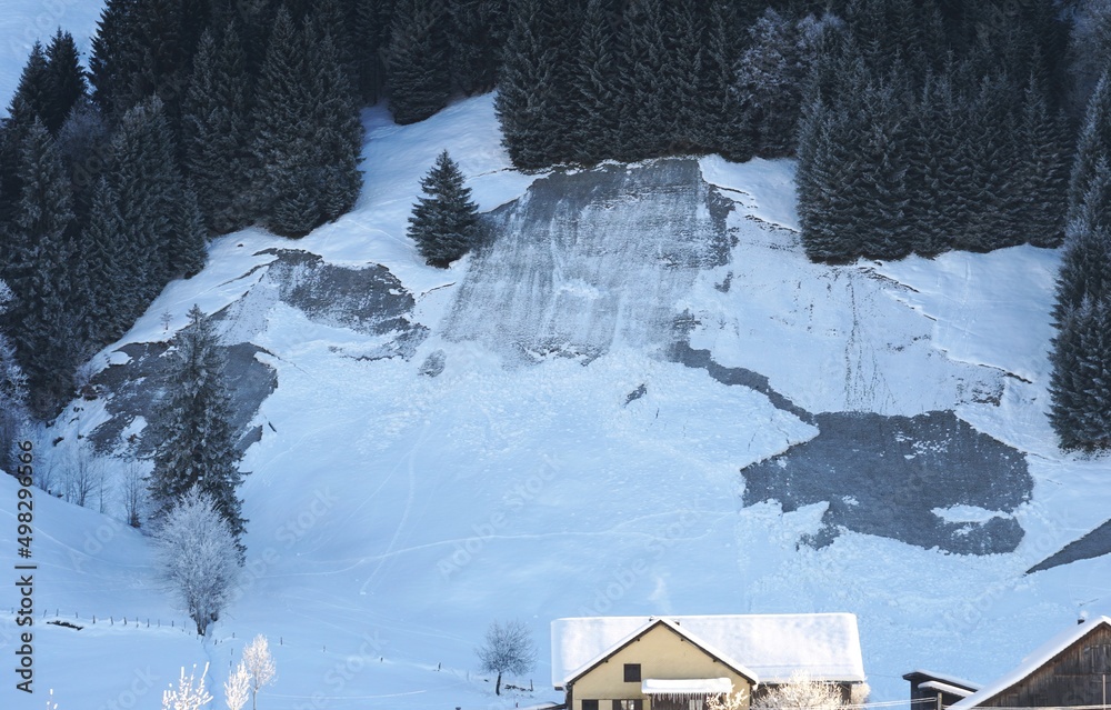 Fototapeta premium Avalanche ripped away on a slope in winter in Switzerland. 