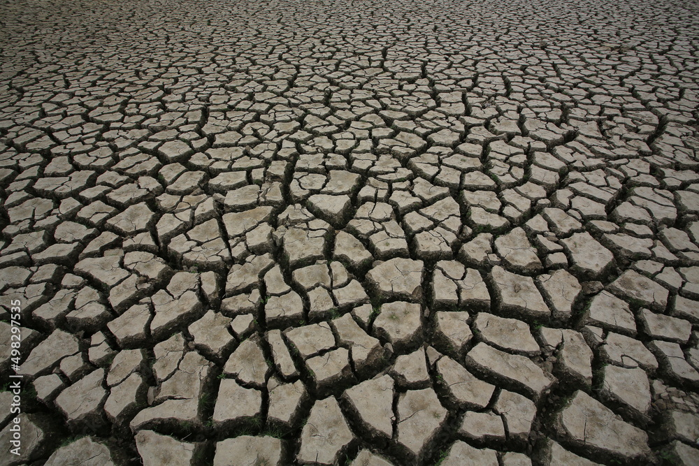 the drought season in Hong Kong, Lower Shing Mun Reservoir the drought season in Hong Kong, Lower Shing Mun Reservoir
