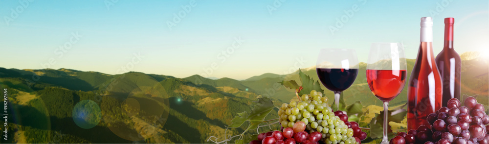 Tasty wine and grapes against beautiful mountain landscape, space for text. Banner design