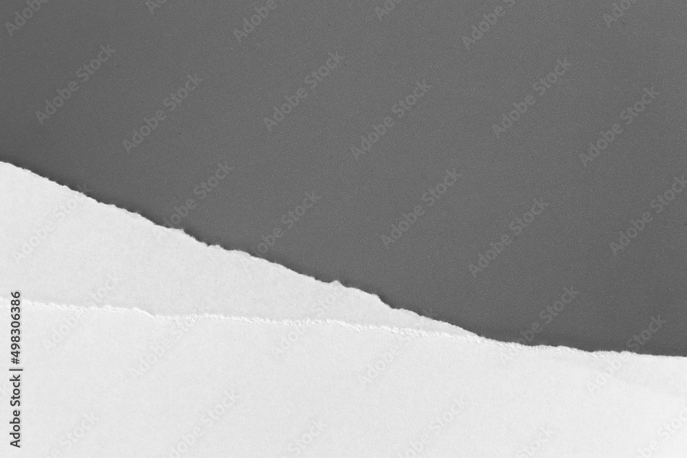 White torn paper on gray background. collection paper rip. White torn paper on gray background. collection paper rip.