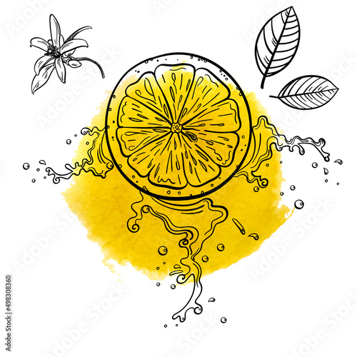 A Juicy Orange with a Splash of Juice