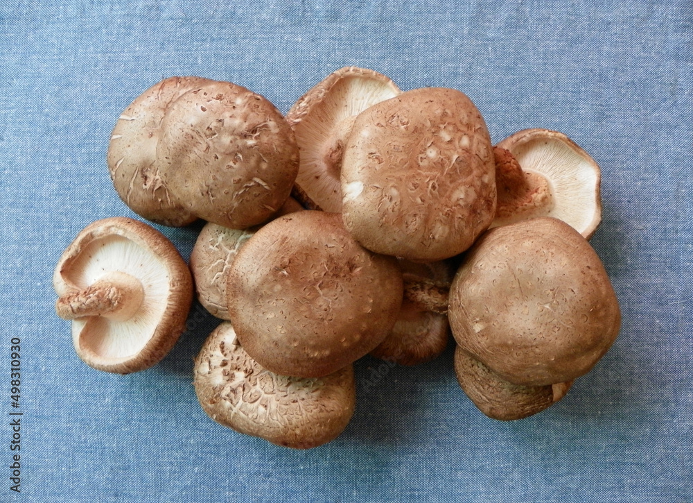 Shiitake mushrooms on linen cloth Shiitake mushrooms on linen cloth