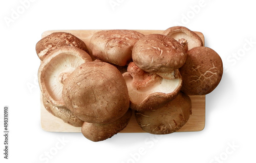 brown shiitake mushrooms white background