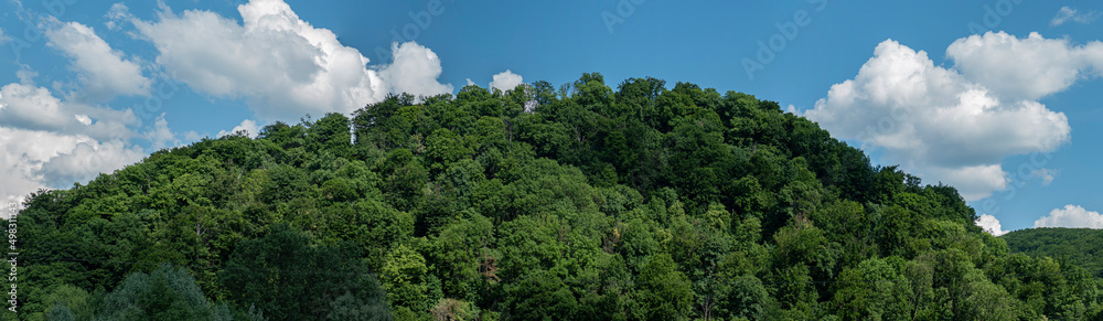 Mountain peak with green trees  and blue sky with clouds. Panoramic view of green mountains in summer day. Carpathian, Ukraine. Mountain tourism. Tourism and travel concept.