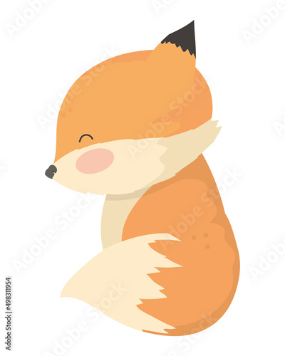 cute little fox