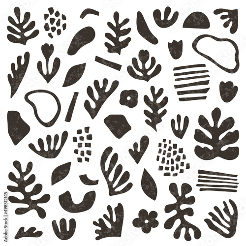 Black abstract botanical set of leaves, flowers, algae, bizarre shapes. Textured shapes. Vector illustration flat hand-drawn style © Ollyta
