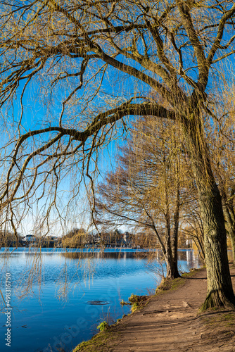 Hamburg, Germany. The lake Alster with trees in the evening in early spring.
