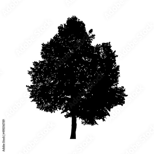 Silhouette of tree