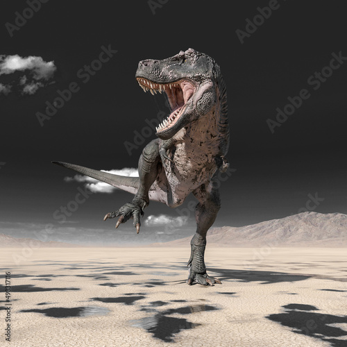 tyrannosaurus rex is looking fot the others on desert © DM7