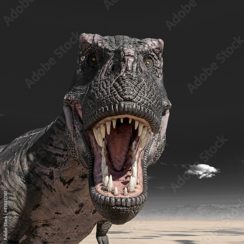 tyrannosaurus rex profile portrait on desert