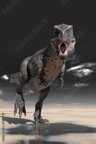 tyrannosaurus rex standing up on desert © DM7