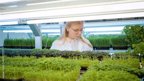 Woman scientist in a white coat and glasses is studying plants in a greenhouse
