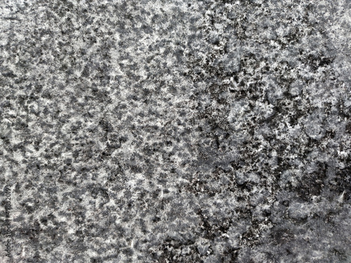 black mold close-up on a plasterboard wall