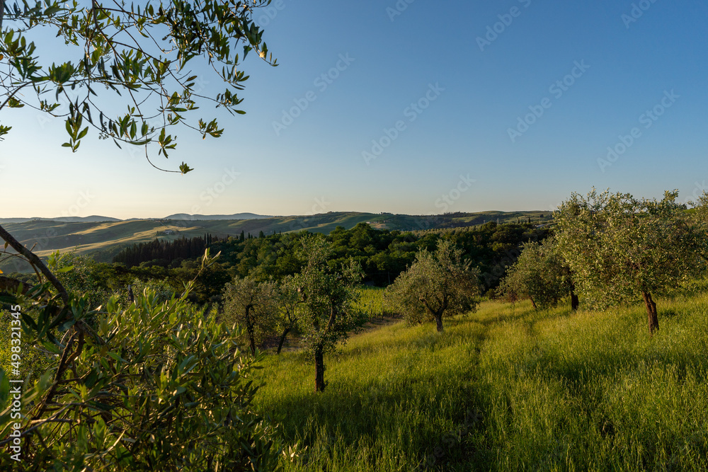 beautiful mornings on countryside of Tuscany, Italy, no people, blue sky