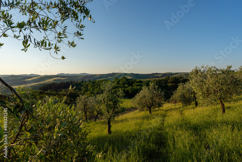 beautiful mornings on countryside of Tuscany  Italy  no people  blue sky