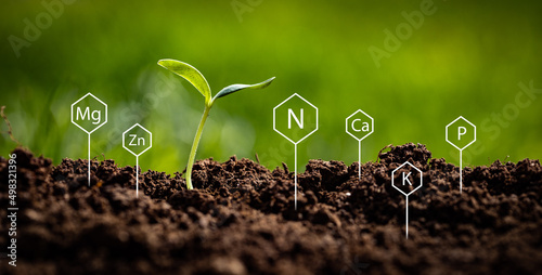 Obraz na płótnie Representing soil chemistry with symbols of Nitrogen, Potassium, Phosphorus, Cal