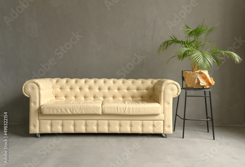 White leather sofa in a dark studio. Modern comfortable cozy. Green palm. © Mi_Lara
