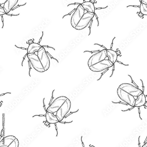 Seamless pattern of monochrome chafer illustration. Vector illustration template