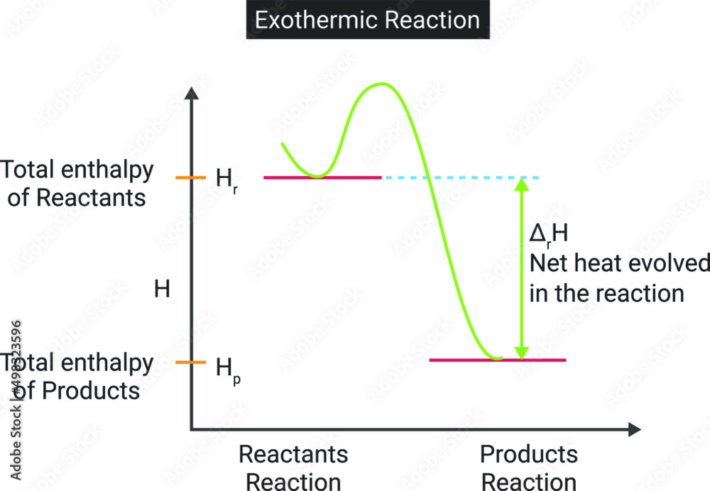 Enthalpy diagram for exothermic reaction. Stock Vector | Adobe Stock
