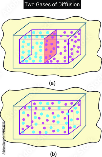 Diffusion of two gases