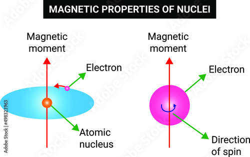 Magnetic Properties of Nuclei